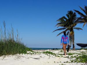 alooppa wetsuit, palms, beach